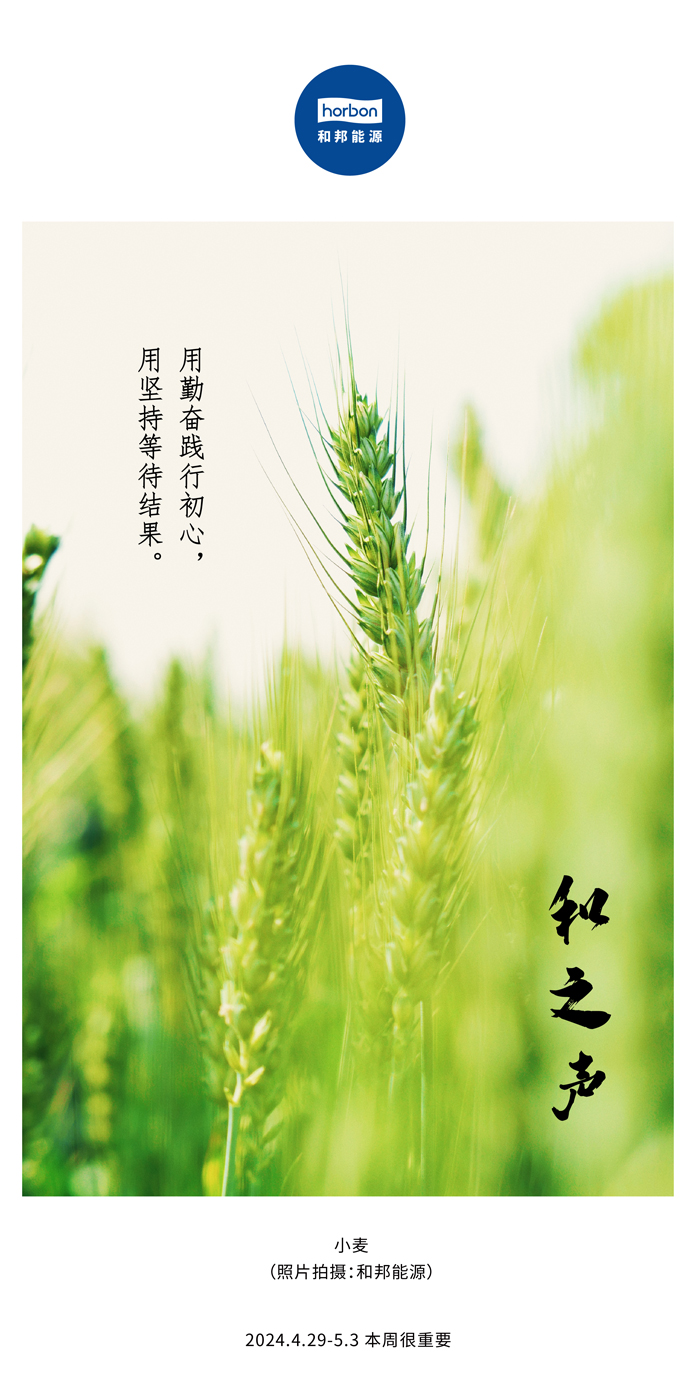 【和之声】用勤恳践行初心，用对峙期待了局。（总第132期）2024.4.29-5中文改幼季度推送用.jpg
