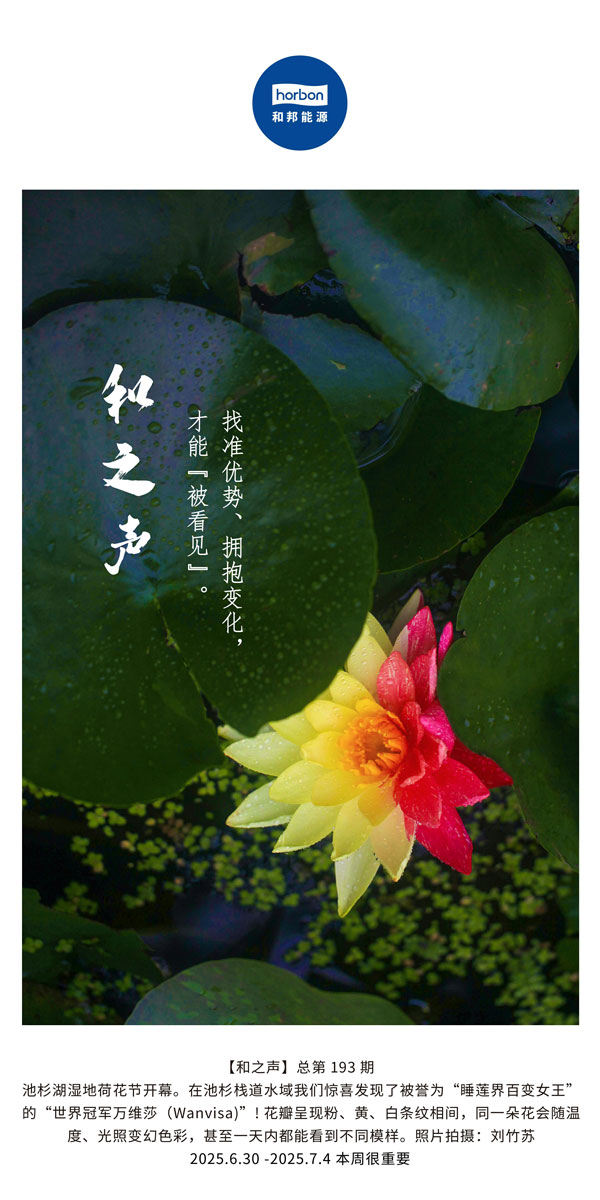 【和之声】找准优势、拥抱变动，能力“被看见”。(总第193期）--2025.6中文导出季度推送用.jpg