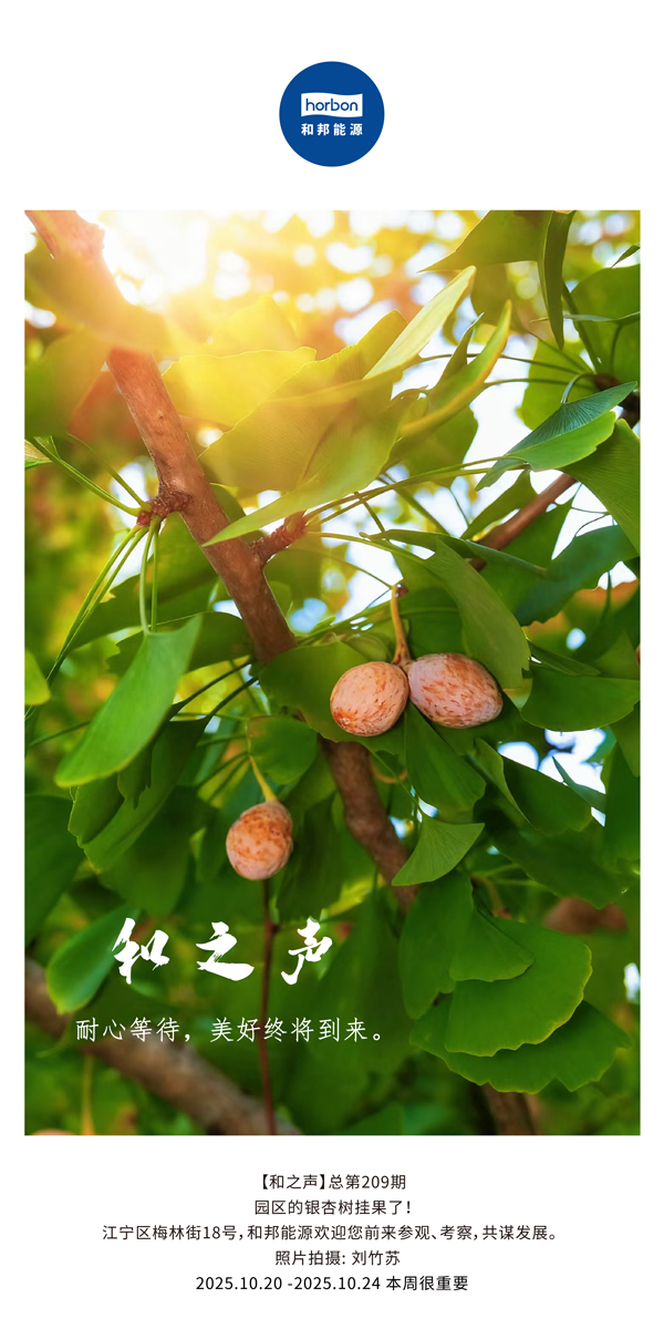 【和之声】耐心期待，美好终将到来。-(总第209期）2025.10.20中文导出季度推送用.jpg